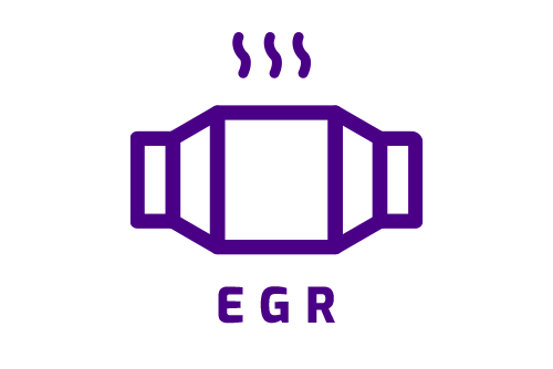 EGRIcon
